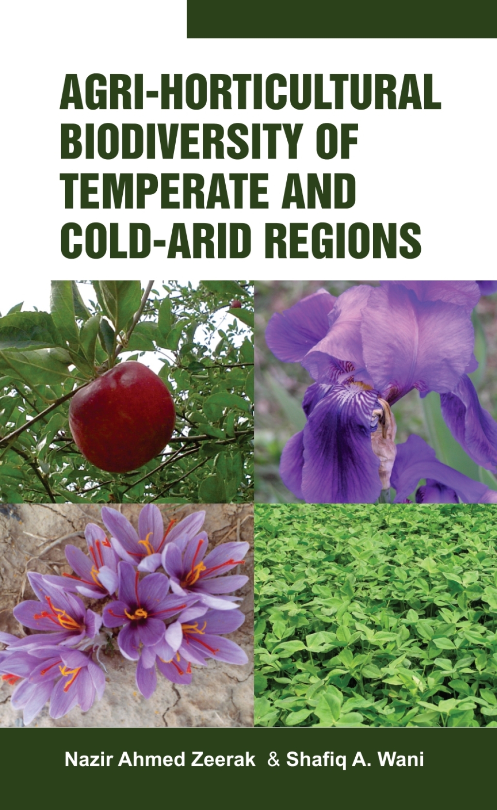 Agri-Horticultural Biodiverstiy of Temperate and Cold Arid Regions 1st Edition