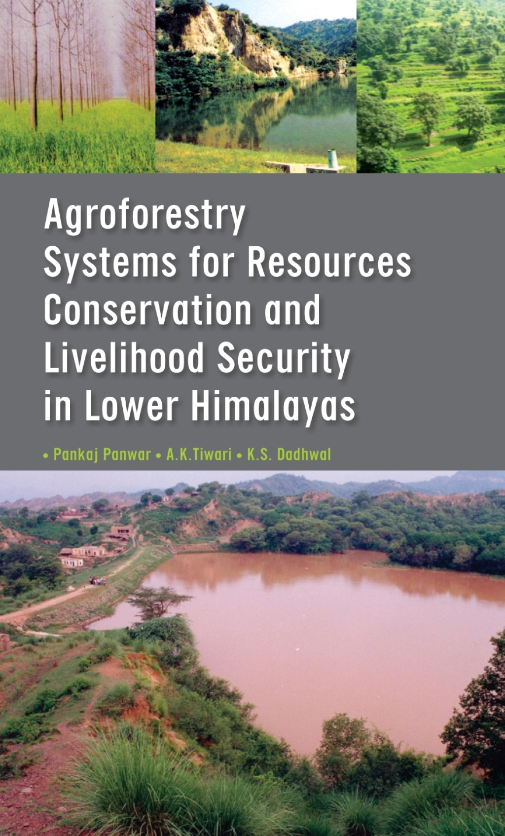 Agroforestry Systems for Resource Conservation and Livelihood Security in Lower Himalayas 1st Edition