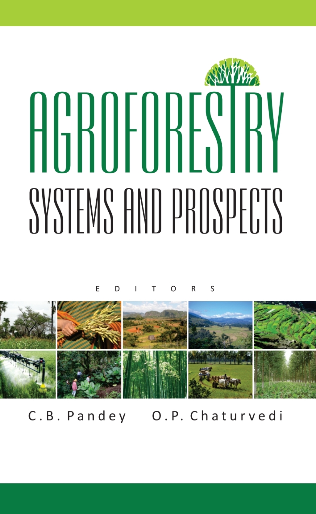 Agroforestry: Systems and Prospects 1st Edition
