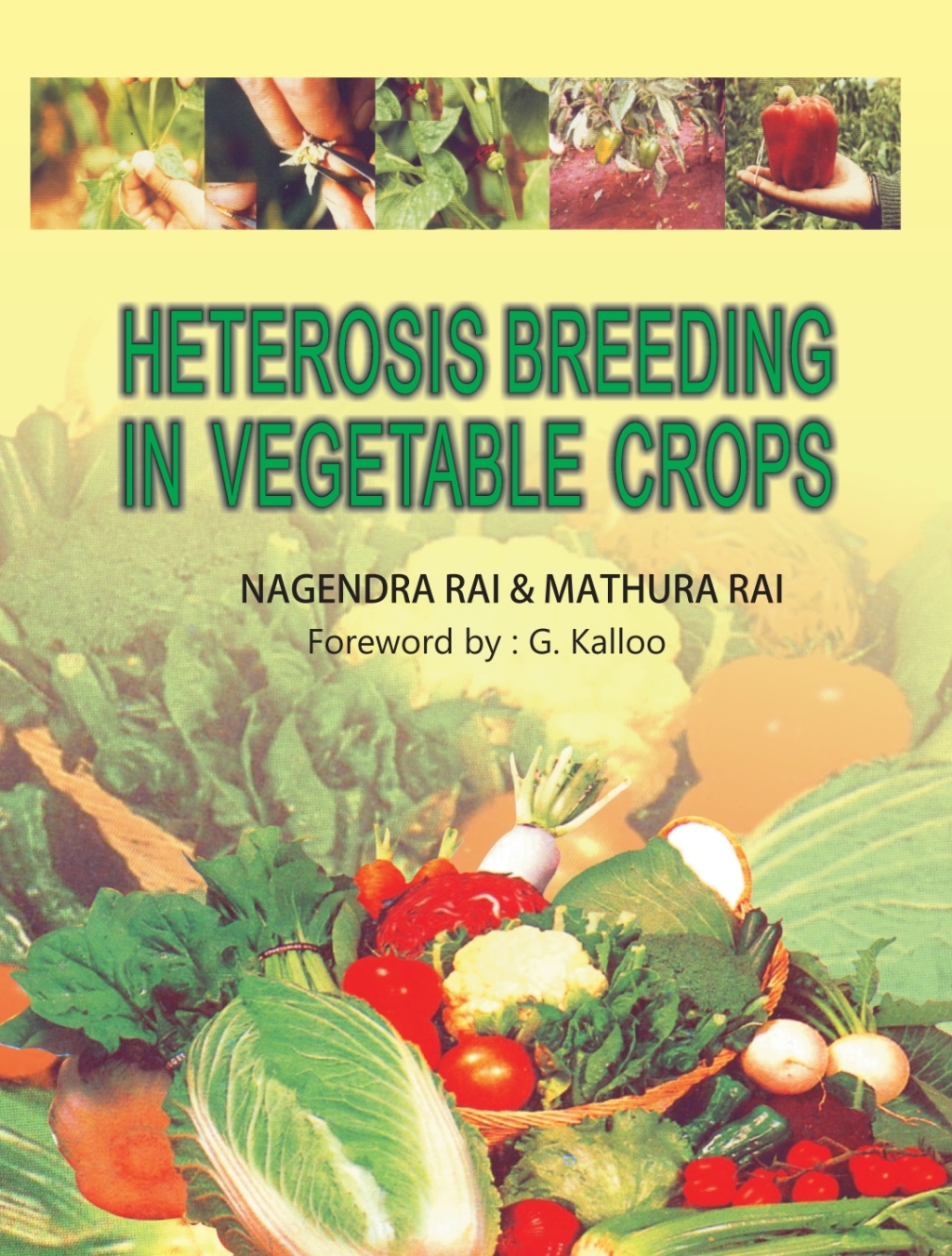 Heterosis Breeding in Vegetable Crops 1st Edition