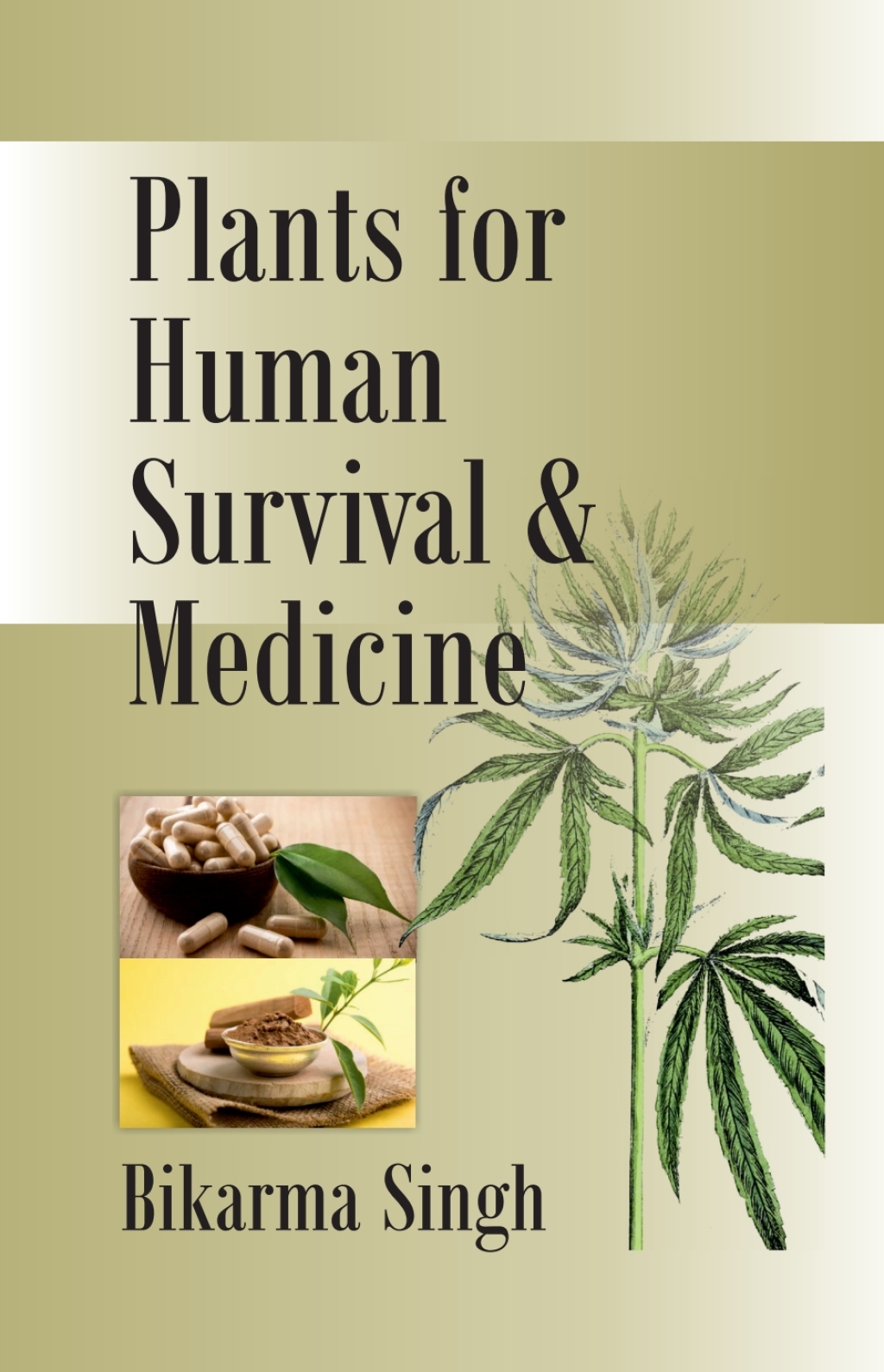 Plants for Human Survival and Medicines 1st Edition