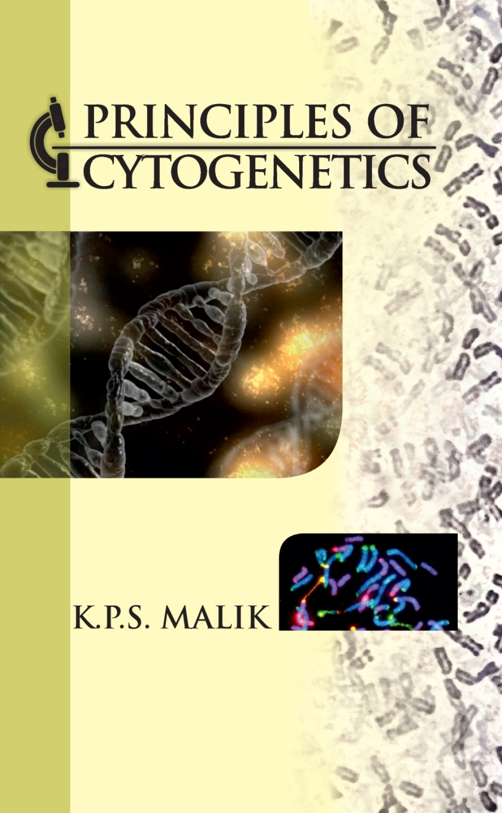 Principles of Cytogenetics 1st Edition