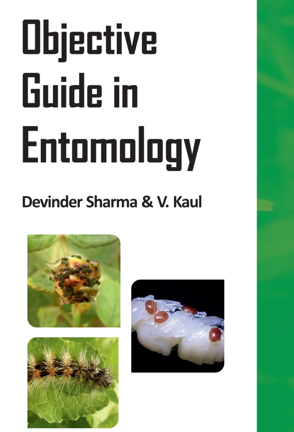 Objective Guide in Entomology 1st Edition