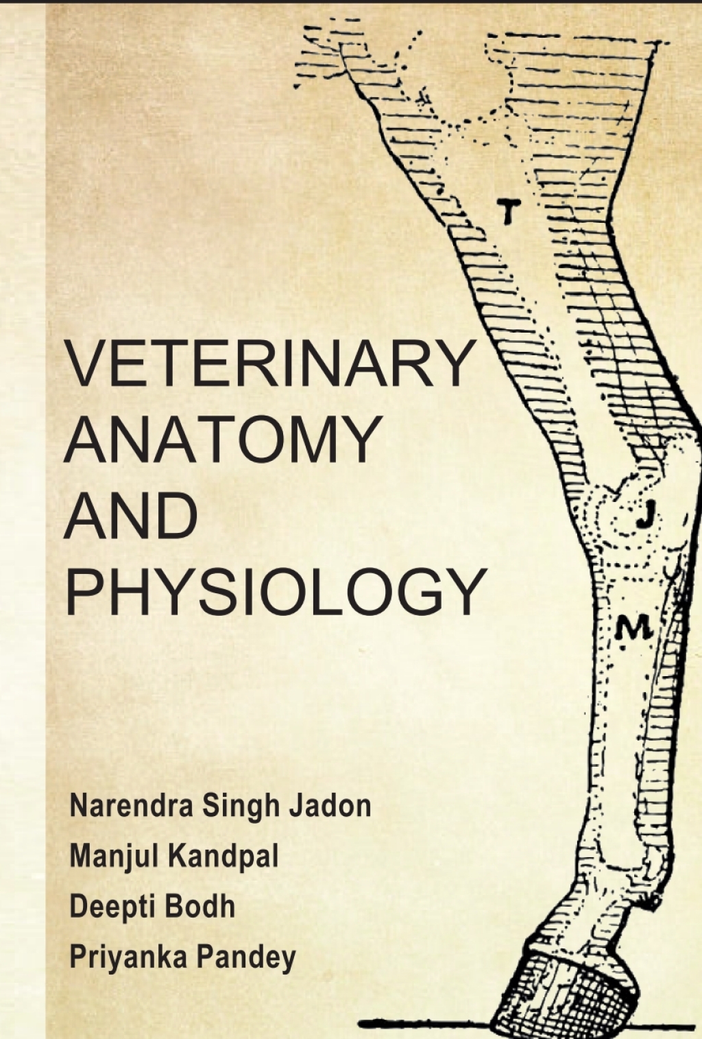 Veterinary Anatomy and Physiology 1st Edition