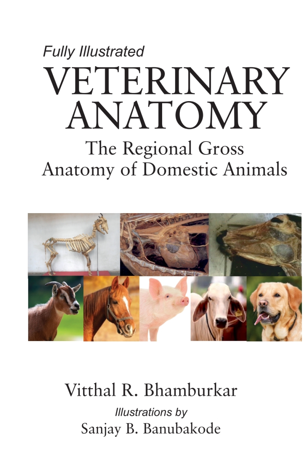 Veterinary Anatomy: The Regional Gross Anatomy of Domestic Animals (Part I & II in Single Binding) 1st Edition