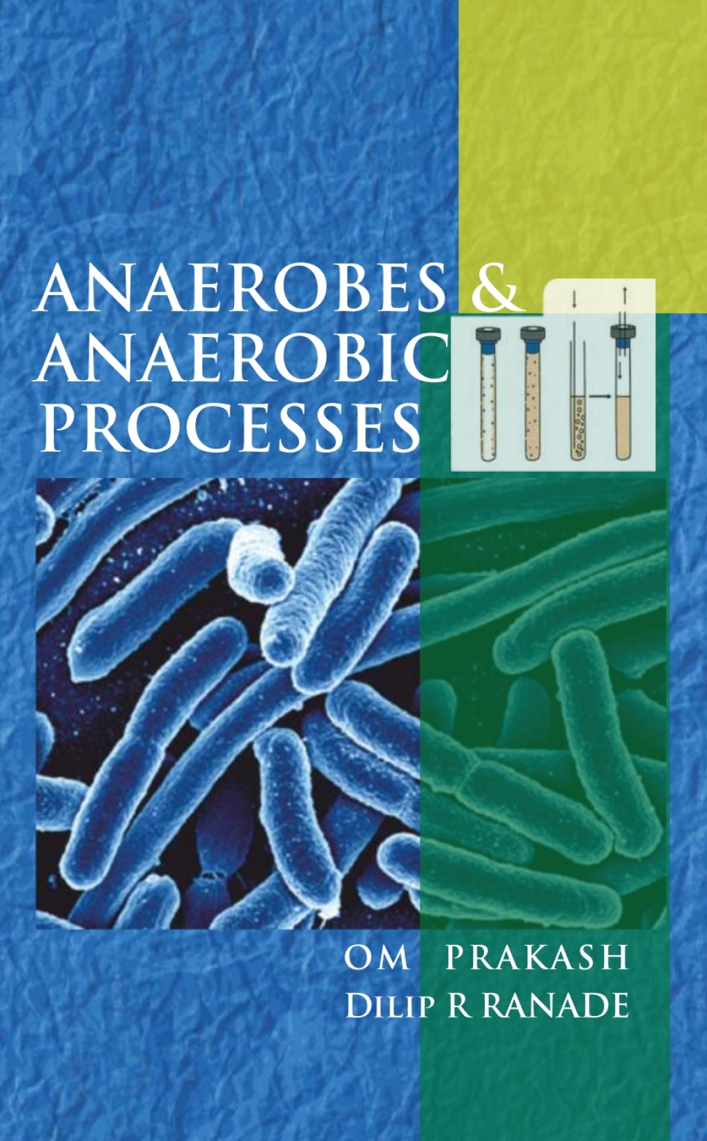 Anaerobes and Anaerobic Processes 1st Edition