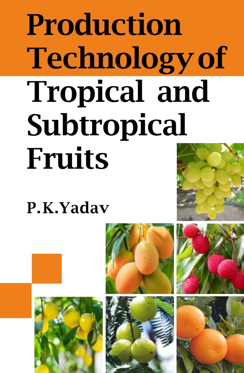 Production Technology of Tropical and Sustropical Fruits 1st Edition