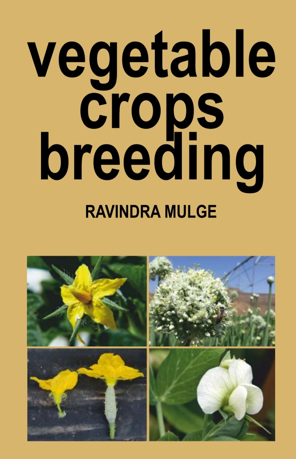 Vegetable Crops Breeding 1st Edition
