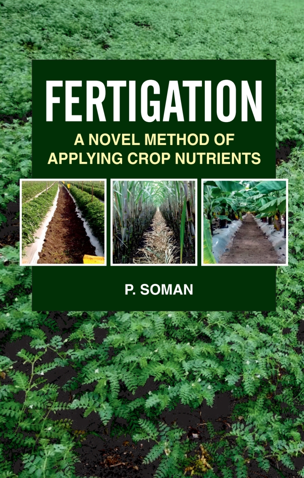 Fertigation: A Novel Method of Applying Crop Nutrients 1st Edition