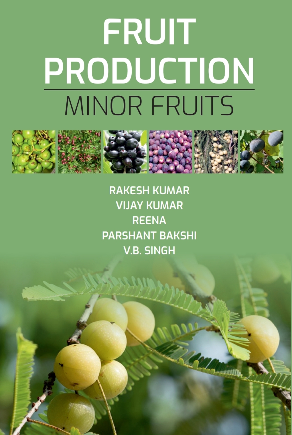 Fruit Production: Minor Fruits 1st Edition
