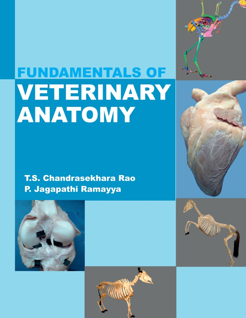 Fundamentals of Veterinary Anatomy 1st Edition