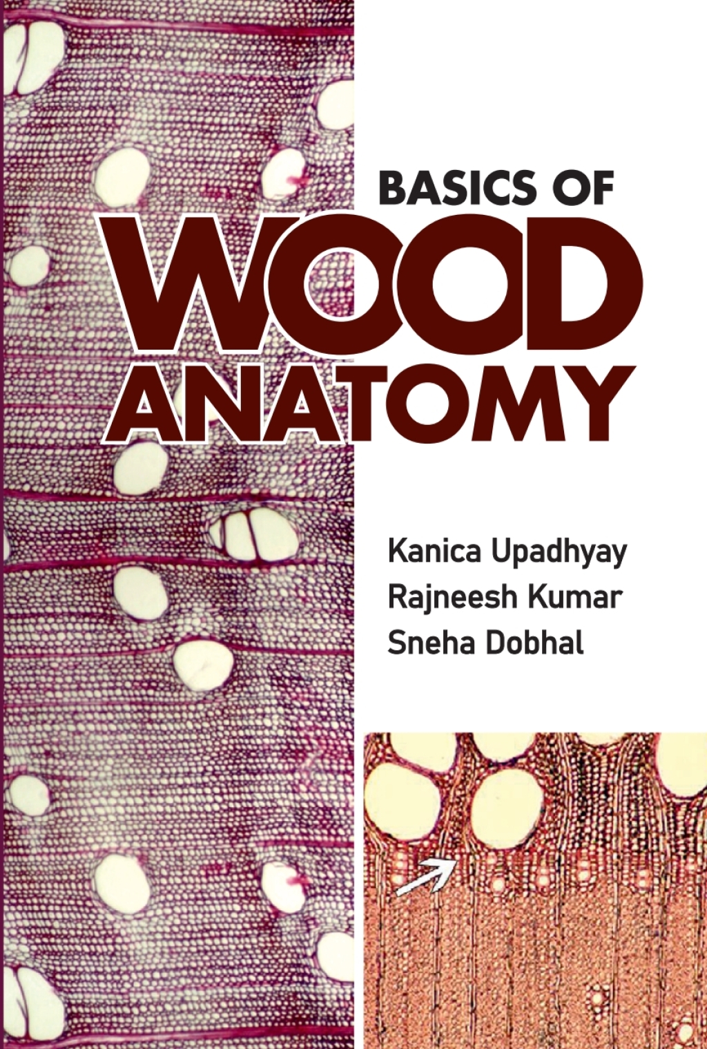 Basics of Wood Anatomy 1st Edition