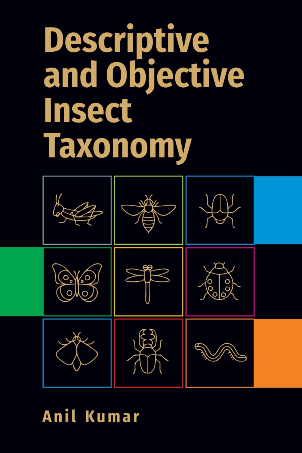 Descriptive and Objective Insect Taxonomy 1st Edition