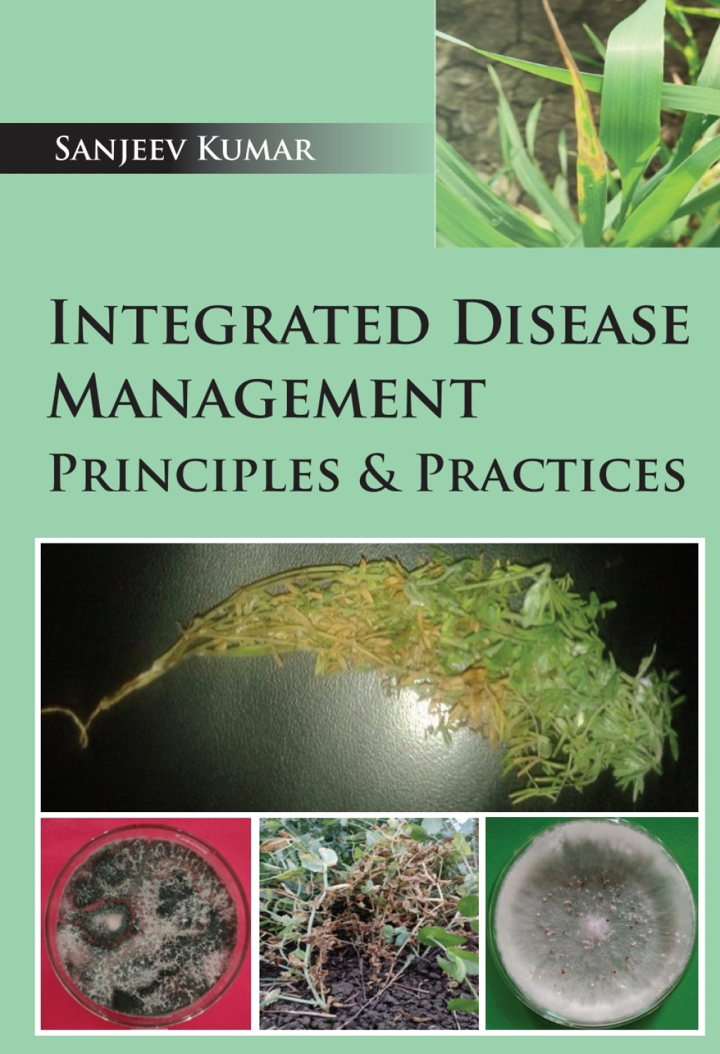 Integrated Disease Management: Principles & Practices 1st Edition