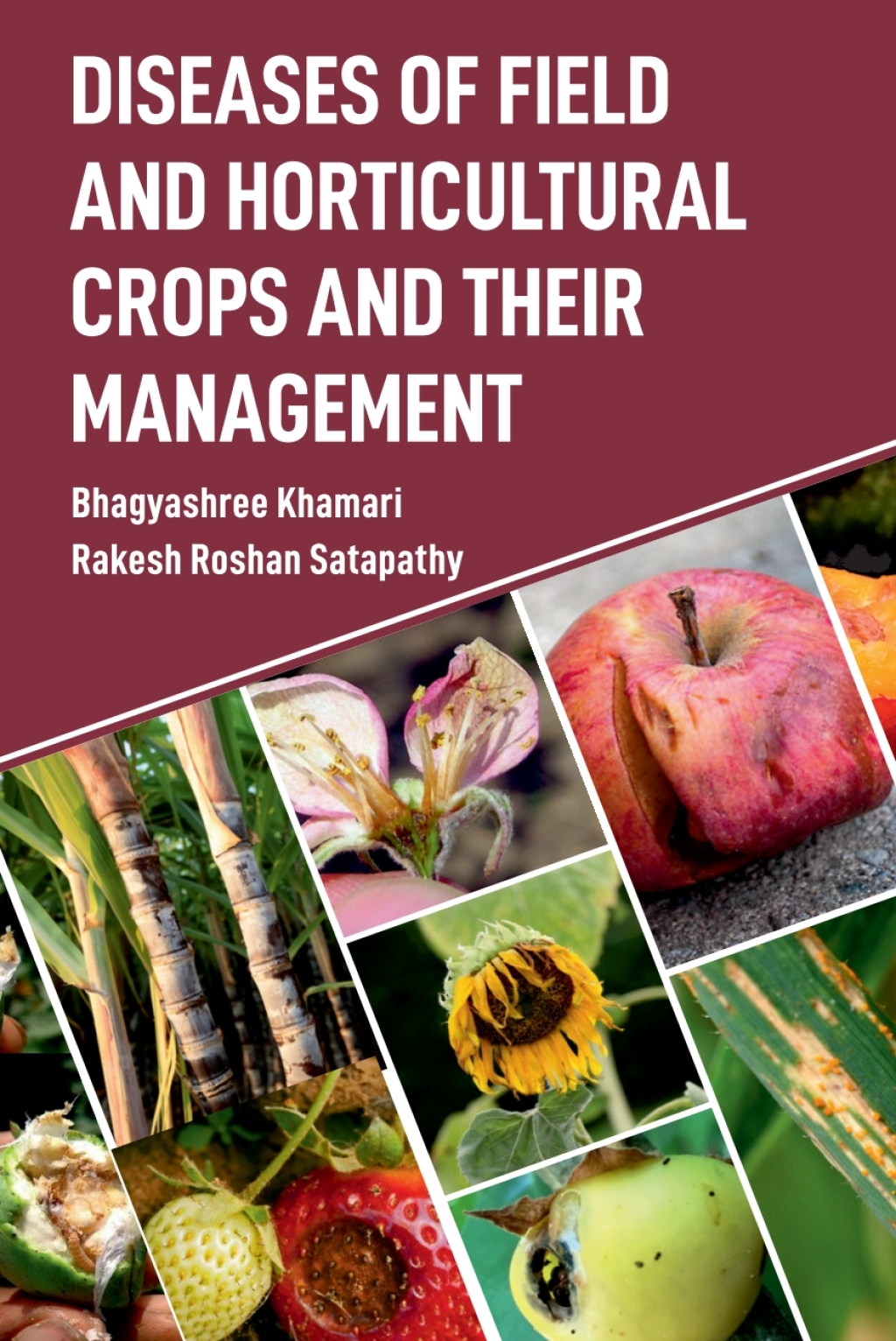 Diseases of Field and Horticultural Crops and Their Management 1st Edition