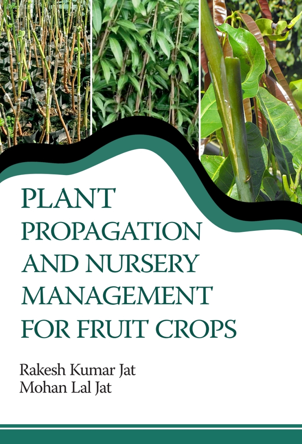 Plant Propagation and Nursery Management For Fruit Crops 1st Edition