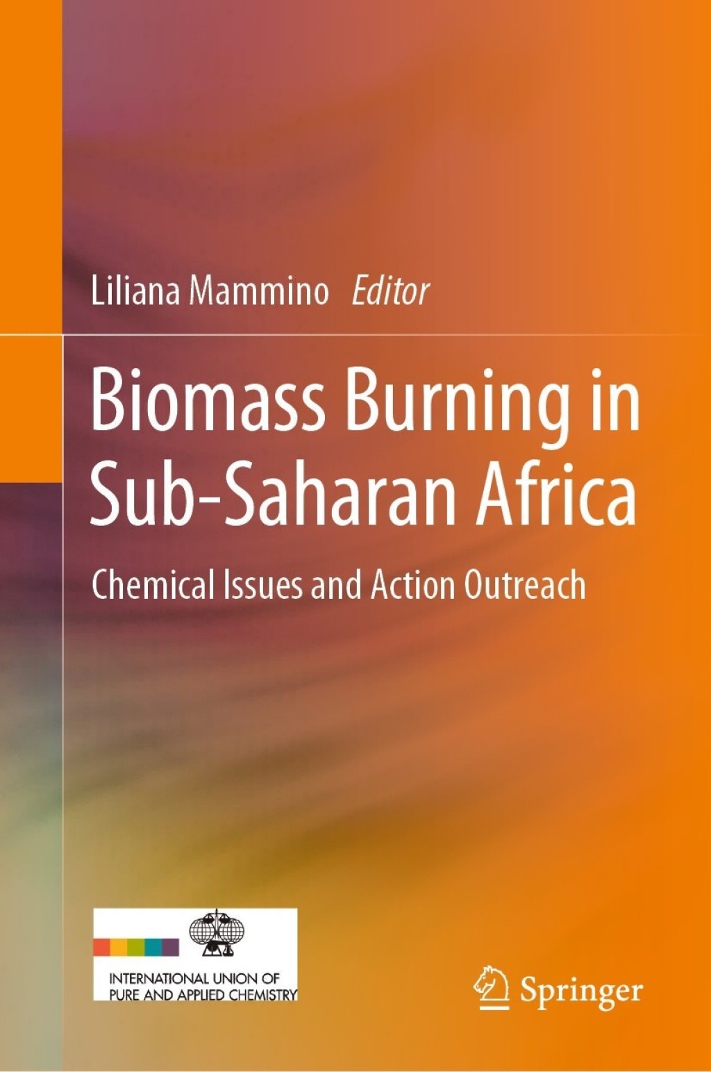 Biomass Burning in Sub-Saharan Africa Chemical Issues and Action Outreach 1st Edition