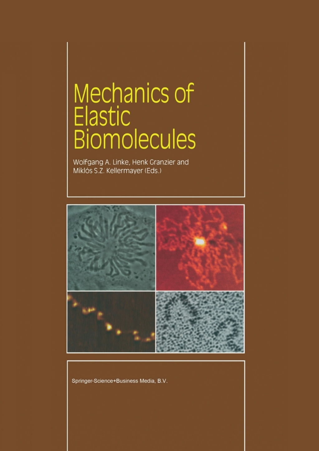 Mechanics of Elastic Biomolecules 1st Edition