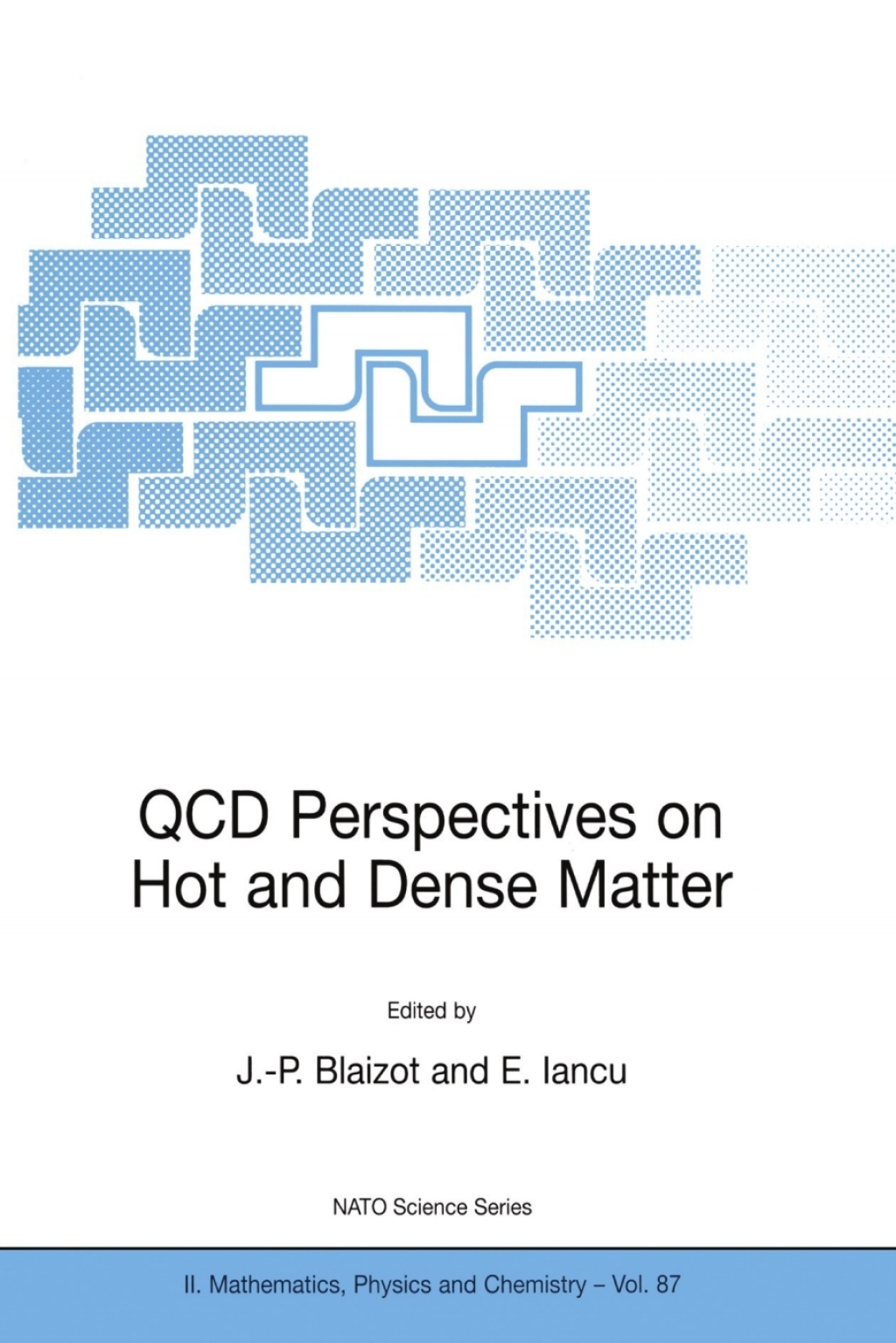QCD Perspectives on Hot and Dense Matter 1st Edition