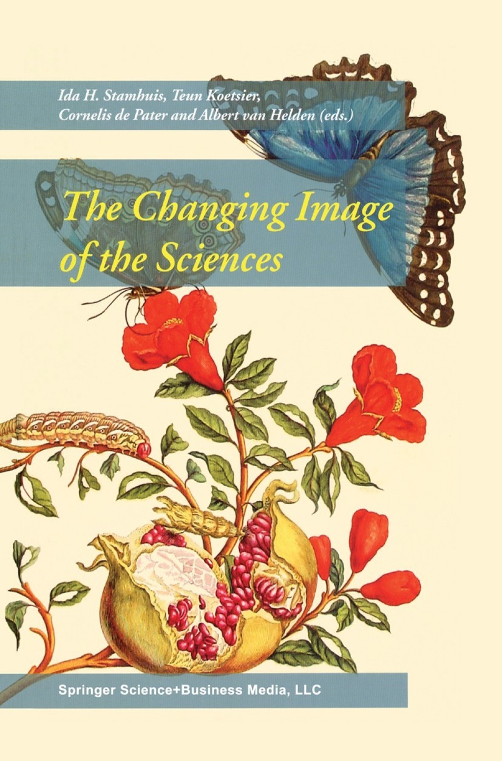 The Changing Image of the Sciences 1st Edition
