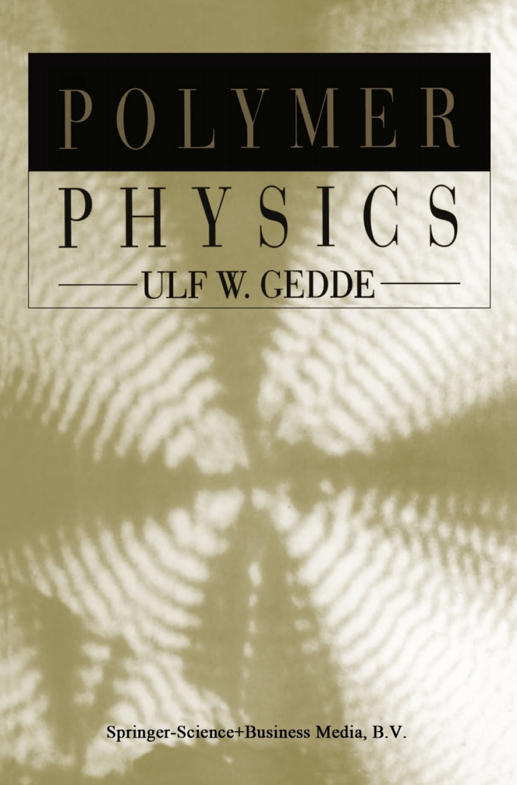 Polymer Physics 