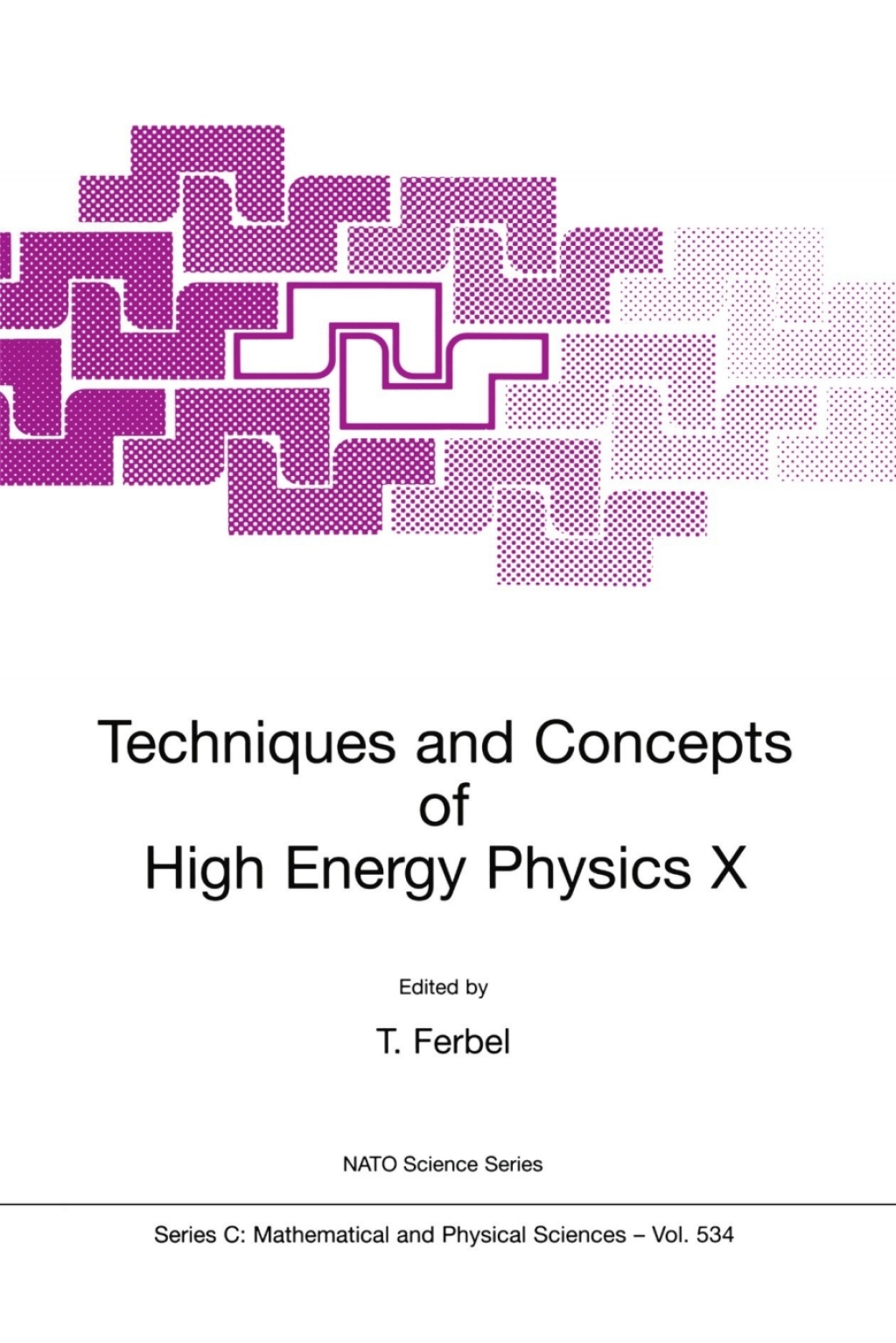 Techniques and Concepts of High Energy Physics X 1st Edition