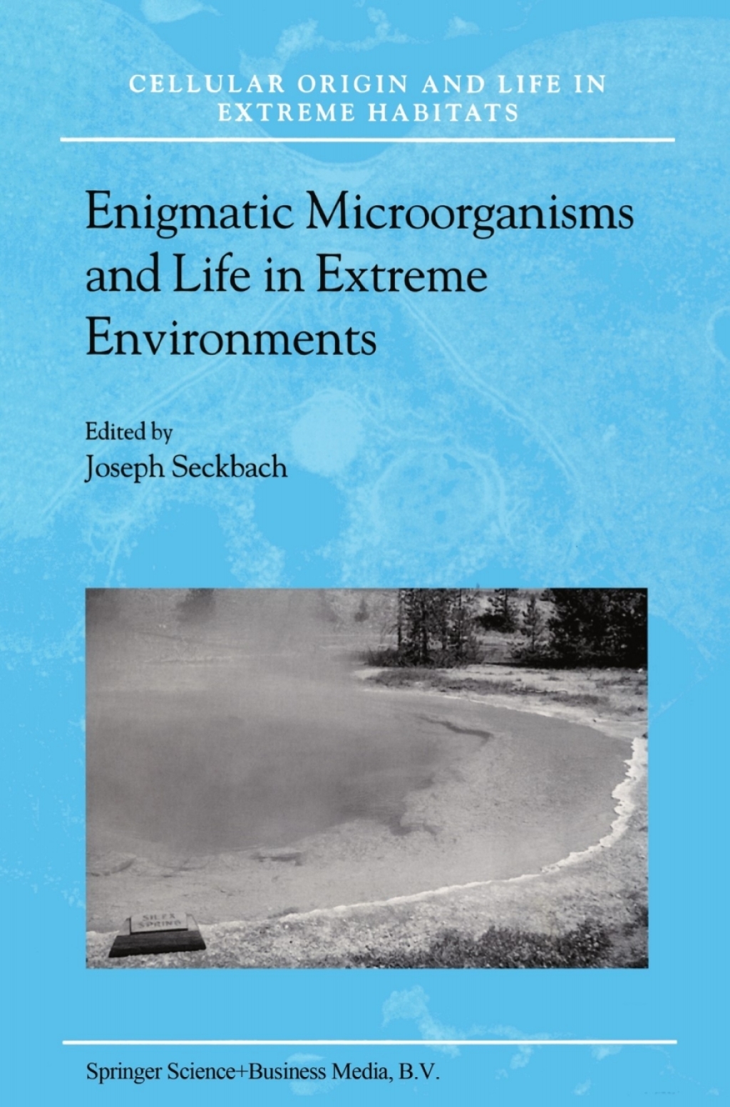 Enigmatic Microorganisms and Life in Extreme Environments 1st Edition