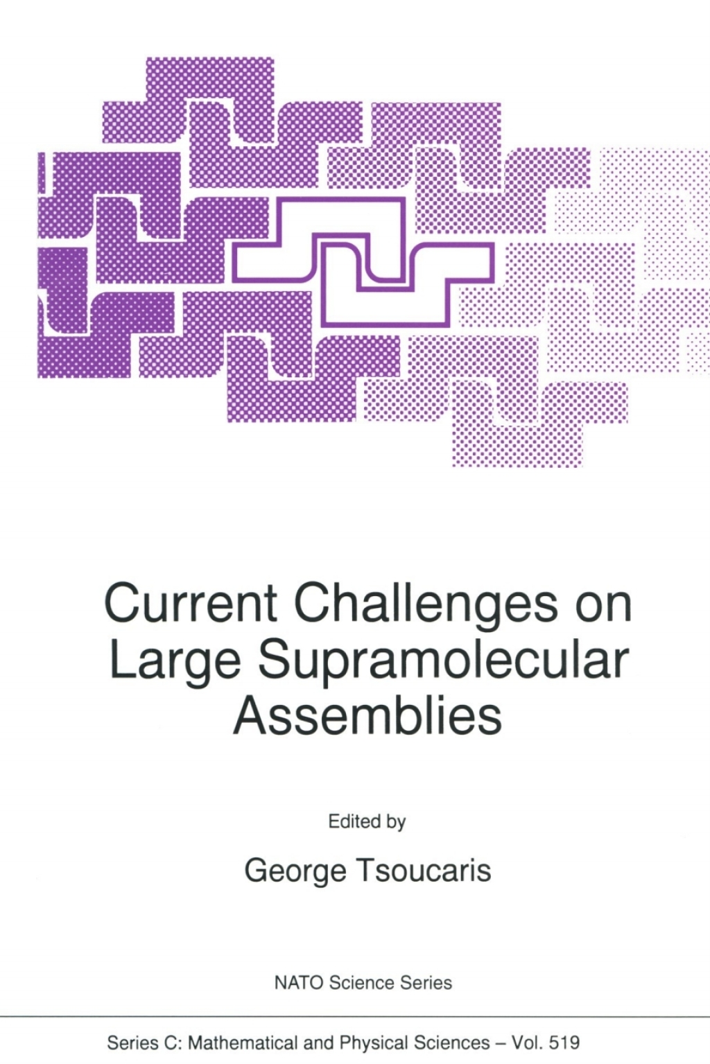 Current Challenges on Large Supramolecular Assemblies 1st Edition