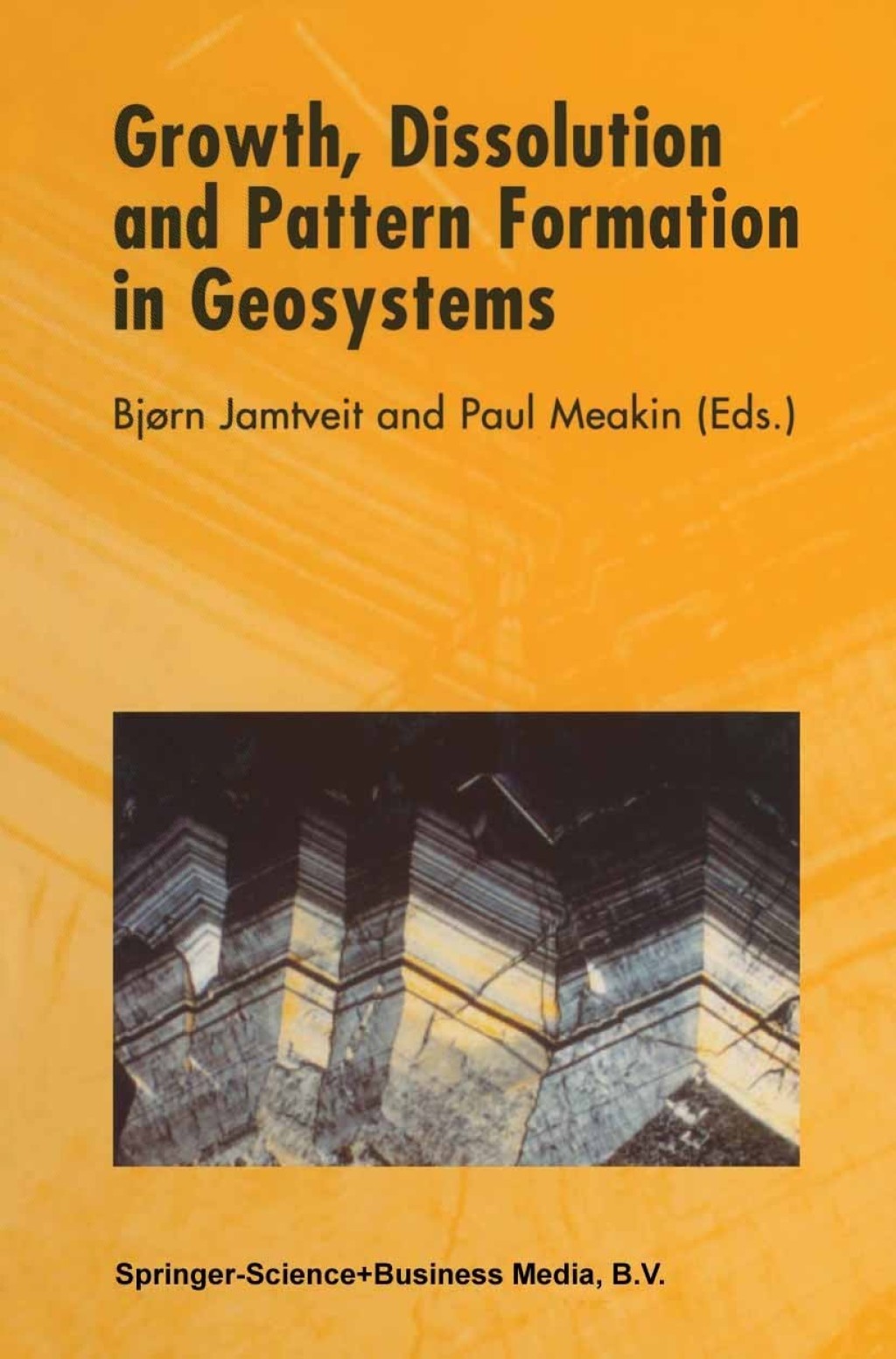 Growth, Dissolution and Pattern Formation in Geosystems 1st Edition