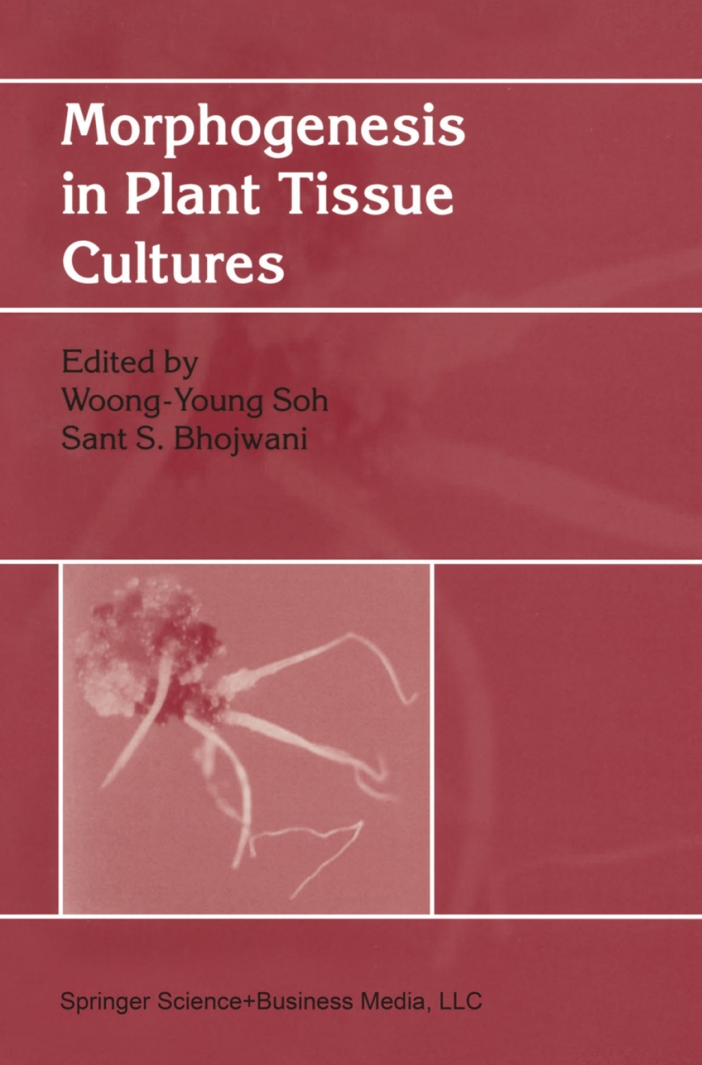 Morphogenesis in Plant Tissue Cultures 1st Edition