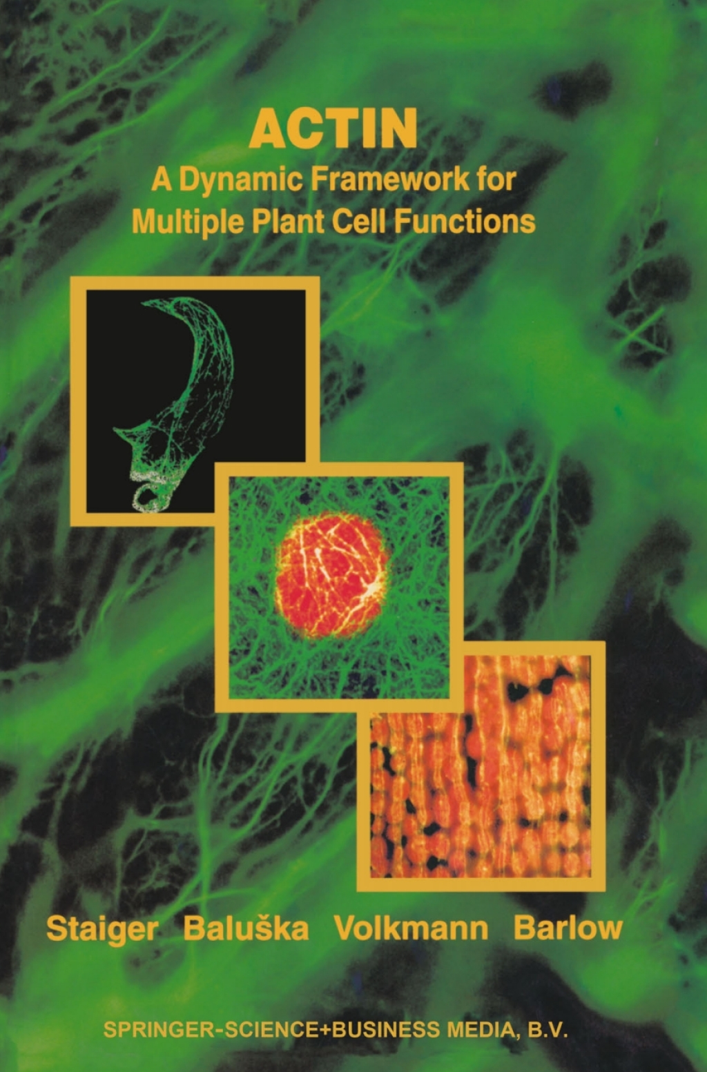 Actin: A Dynamic Framework for Multiple Plant Cell Functions 1st Edition