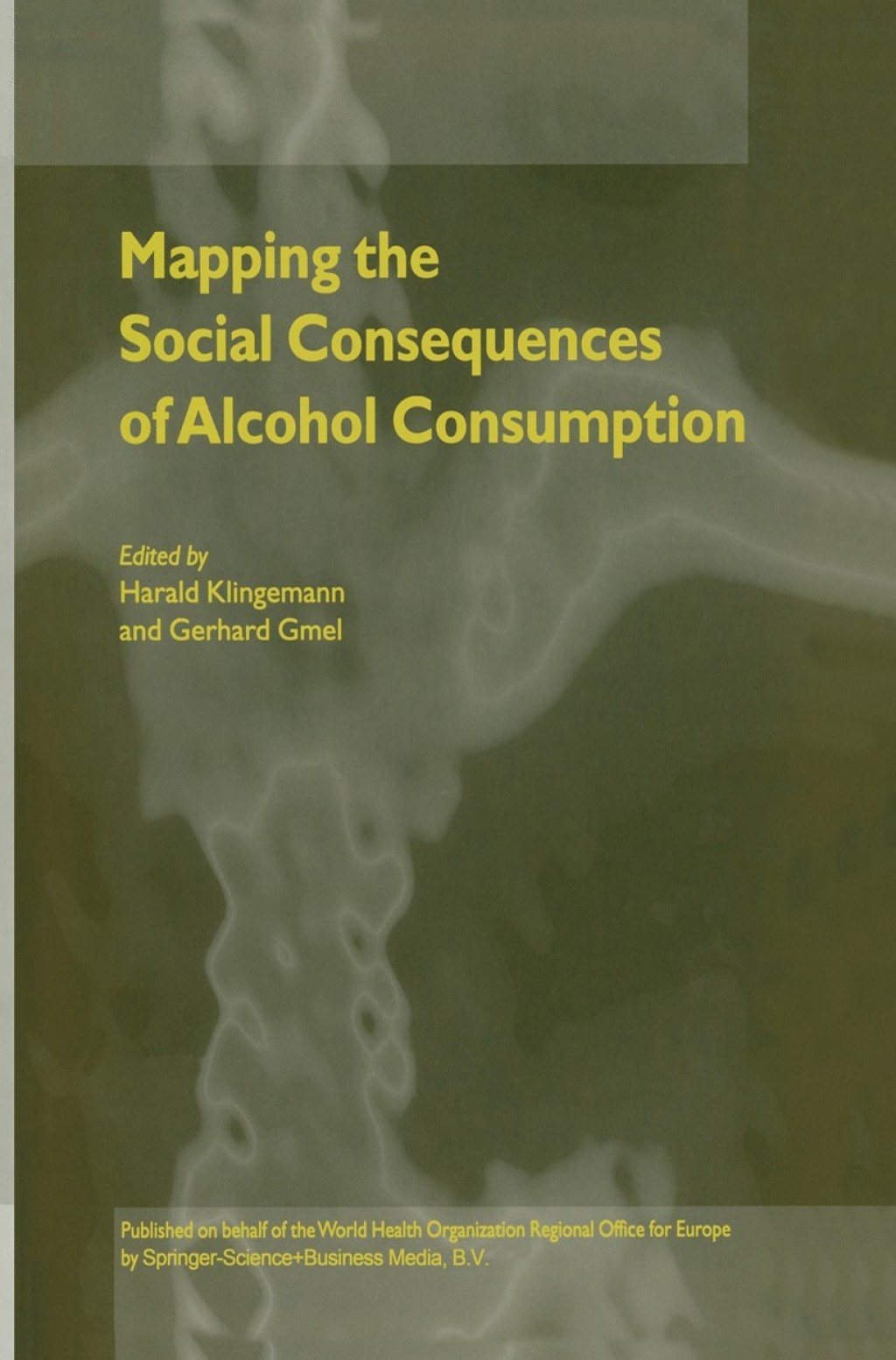 Mapping the Social Consequences of Alcohol Consumption 1st Edition