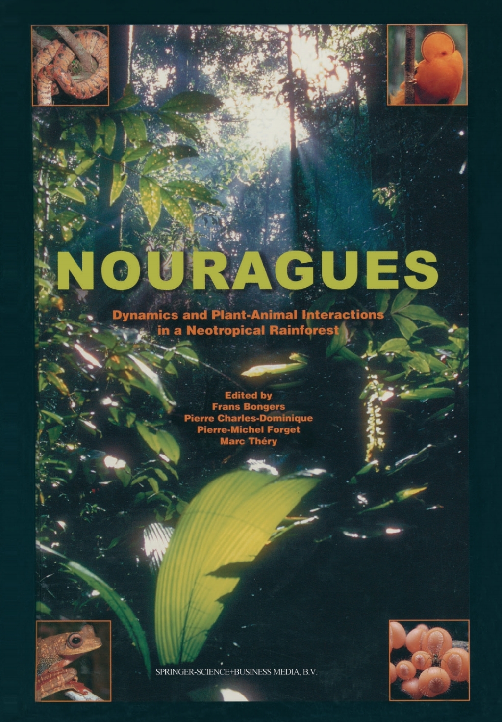 Nouragues Dynamics and Plant-Animal Interactions in a Neotropical Rainforest 1st Edition