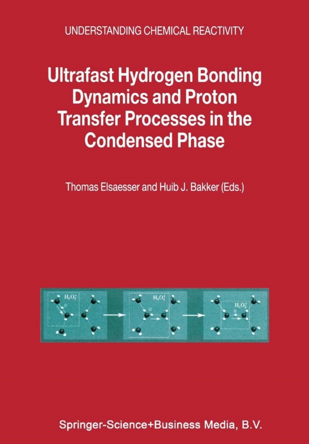 Ultrafast Hydrogen Bonding Dynamics and Proton Transfer Processes in the Condensed Phase 1st Edition