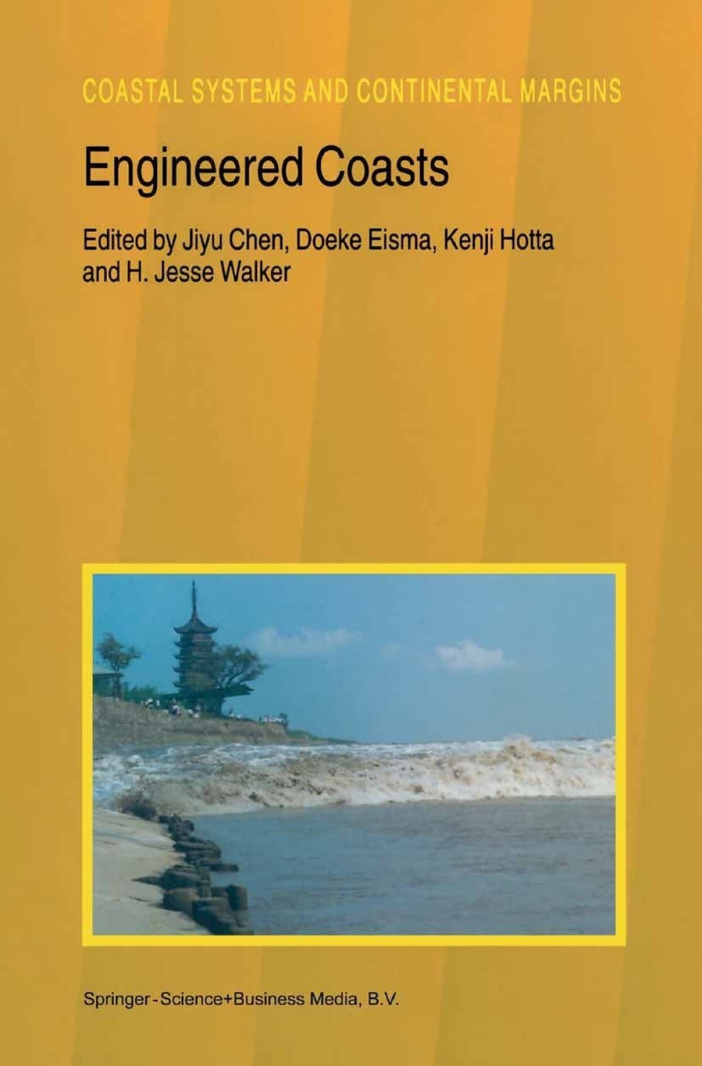 Engineered Coasts 1st Edition