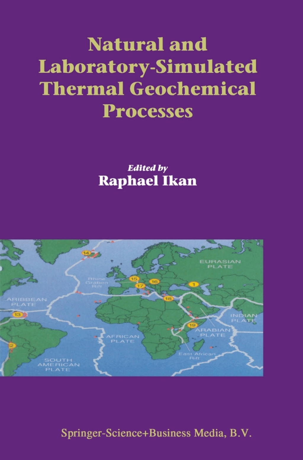 Natural and Laboratory Simulated Thermal Geochemical Processes 1st Edition