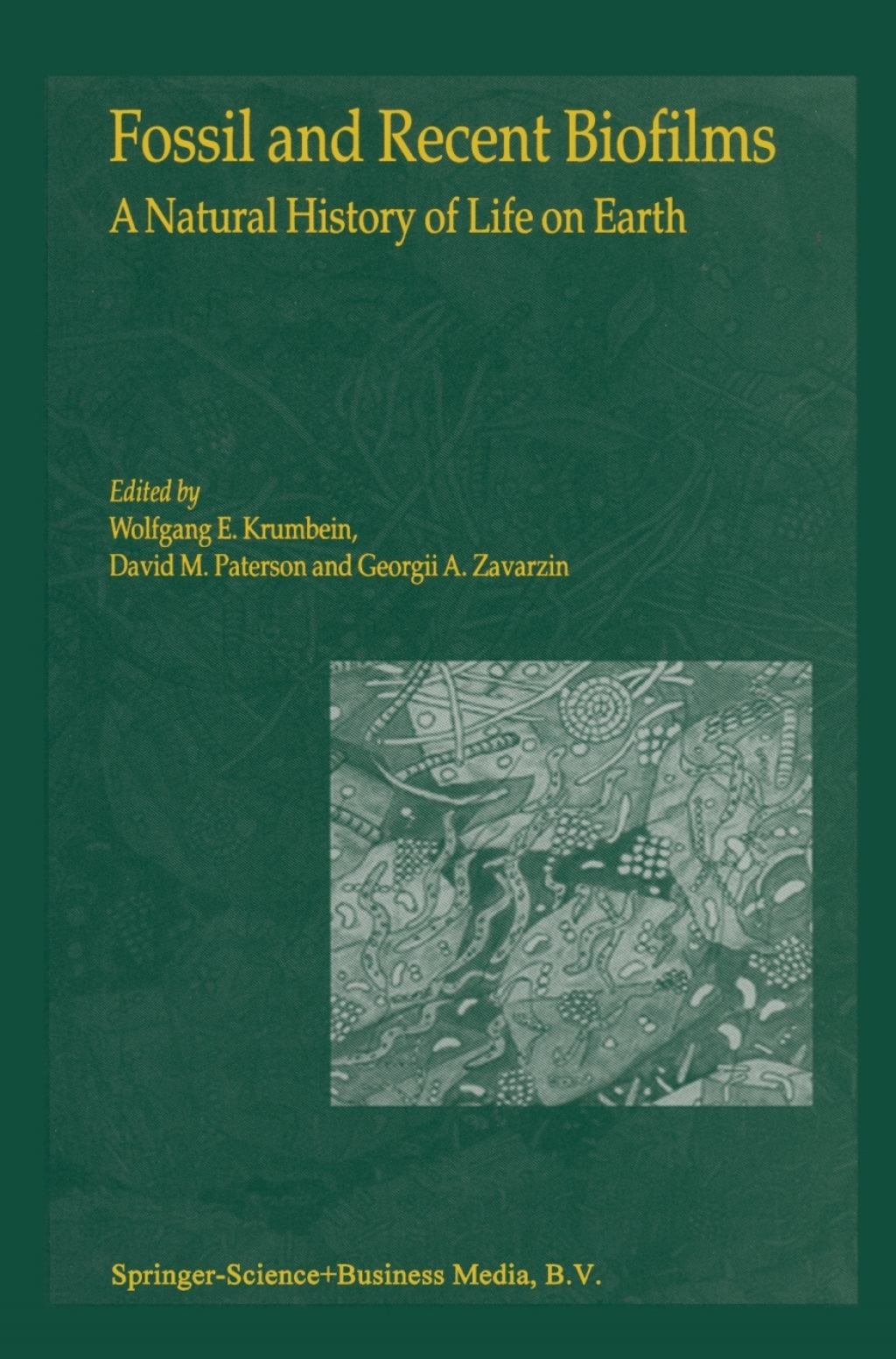 Fossil and Recent Biofilms A Natural History of Life on Earth 1st Edition