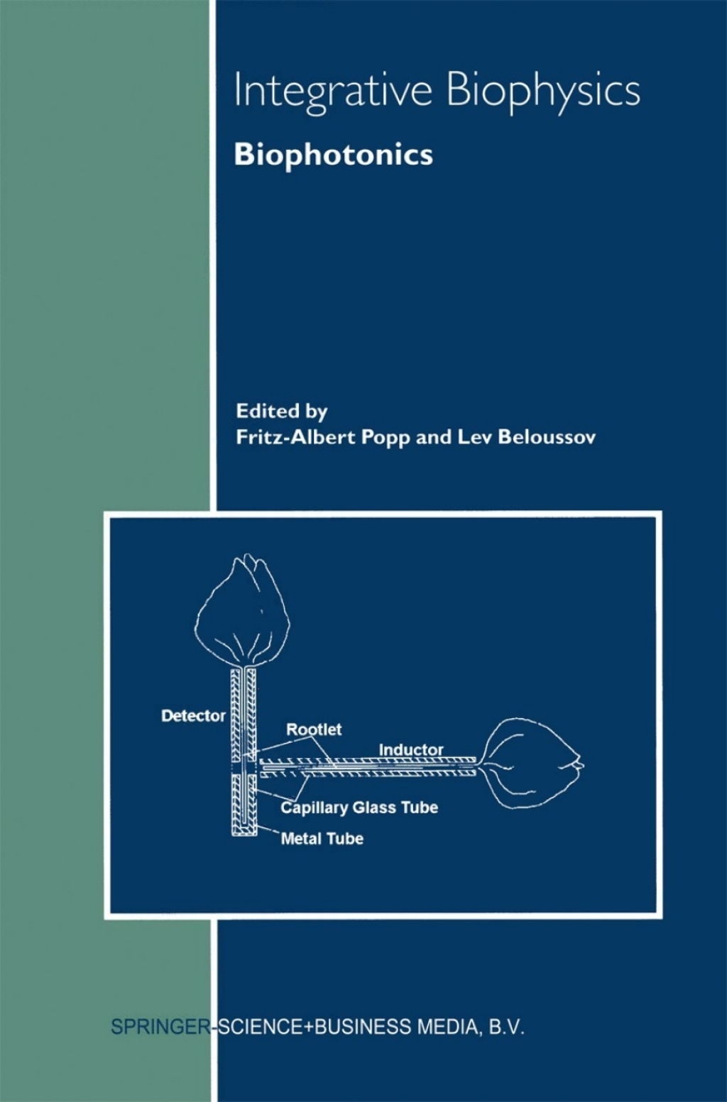 Integrative Biophysics Biophotonics 1st Edition