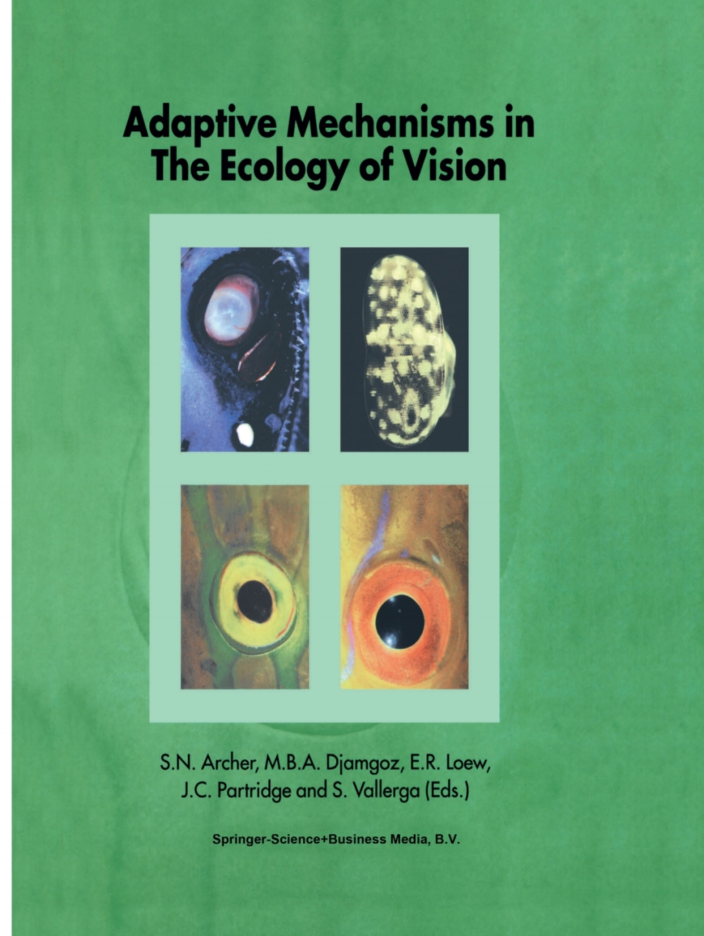 Adaptive Mechanisms in the Ecology of Vision 1st Edition
