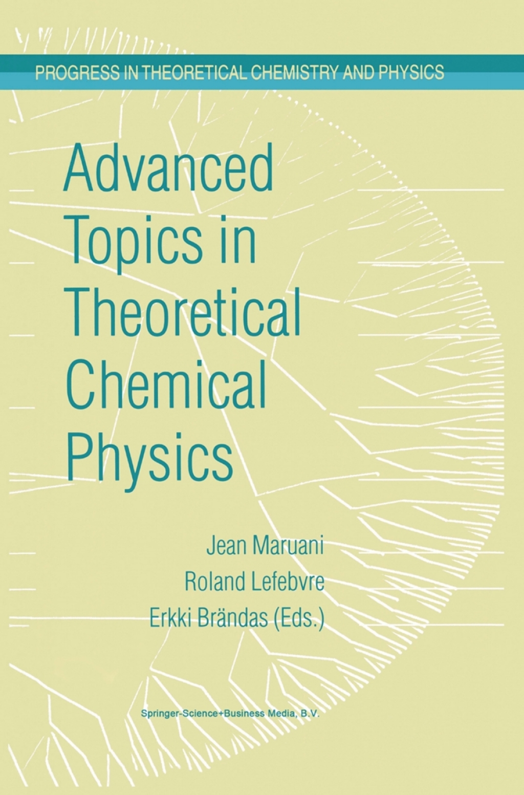 Advanced Topics in Theoretical Chemical Physics 1st Edition