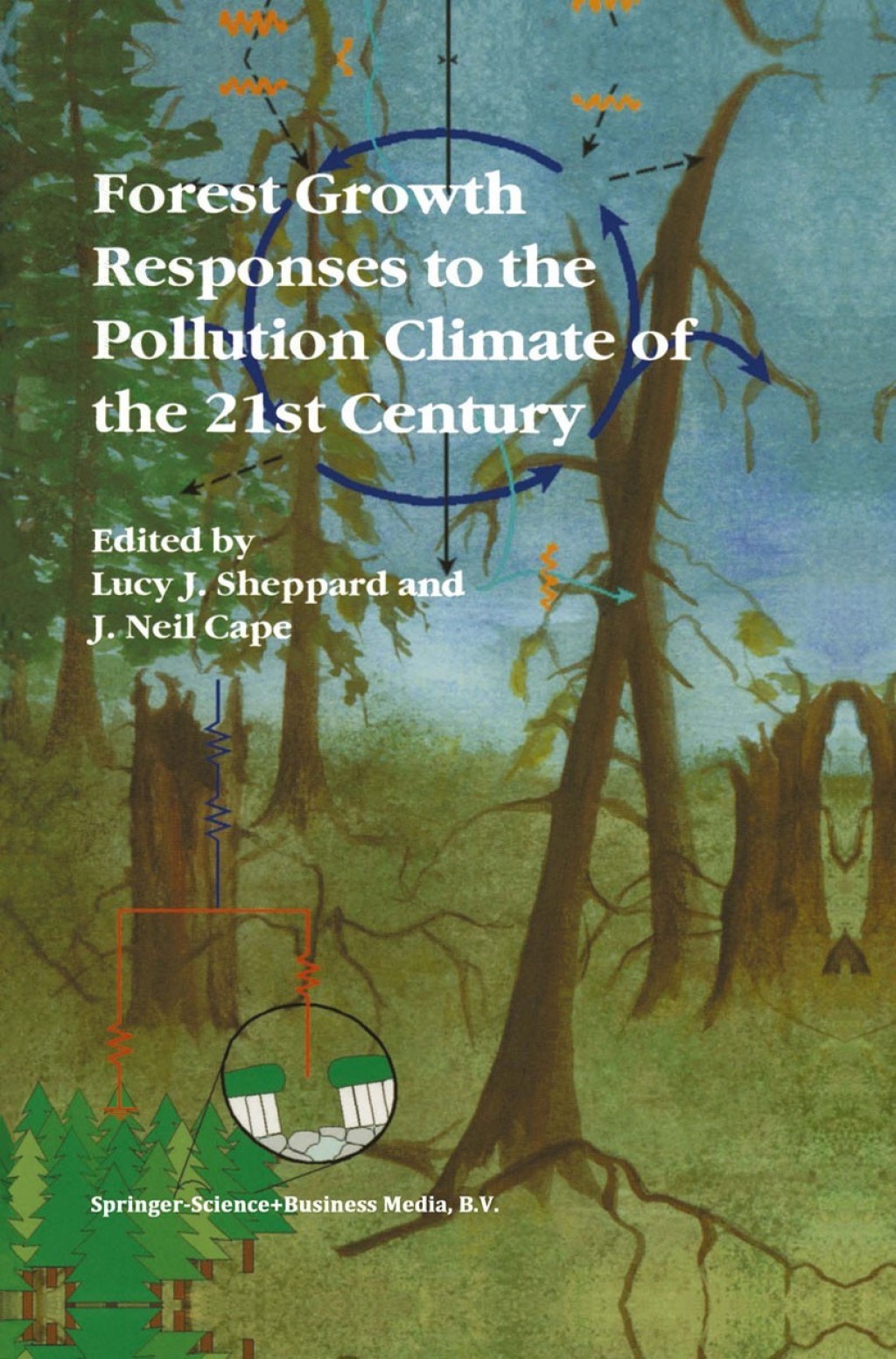 Forest Growth Responses to the Pollution Climate of the 21st Century 1st Edition