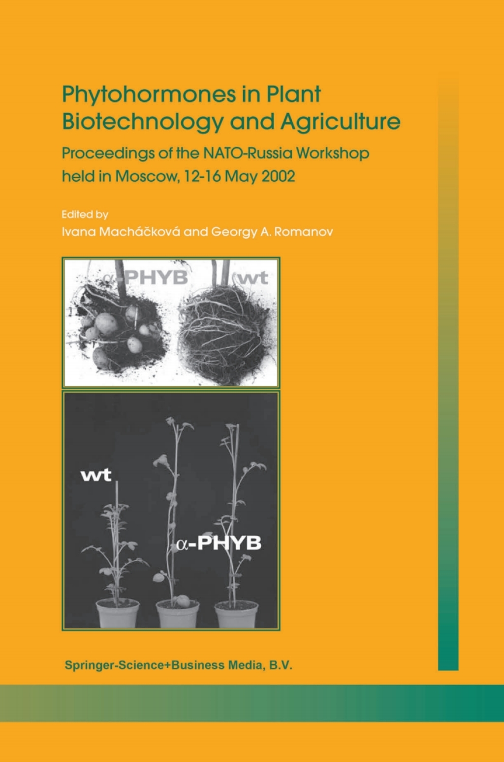 Phytohormones in Plant Biotechnology and Agriculture 1st Edition