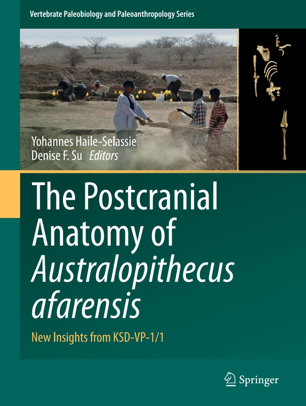 The Postcranial Anatomy of Australopithecus afarensis New Insights from KSD-VP-1/1 