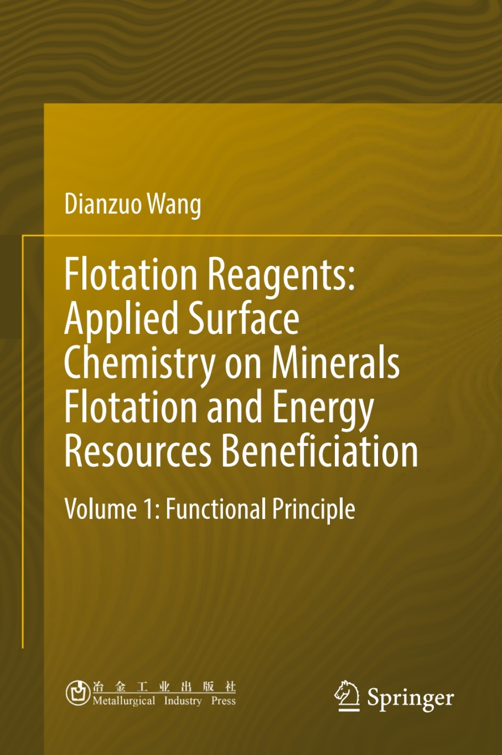 Flotation Reagents: Applied Surface Chemistry on Minerals Flotation and Energy Resources Beneficiation Volume 1: Functional Principle 