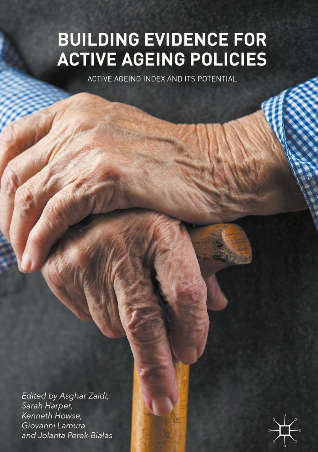 Building Evidence for Active Ageing Policies Active Ageing Index and its Potential 