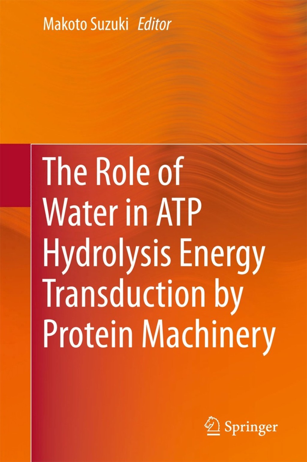 The Role of Water in ATP Hydrolysis Energy Transduction by Protein Machinery 