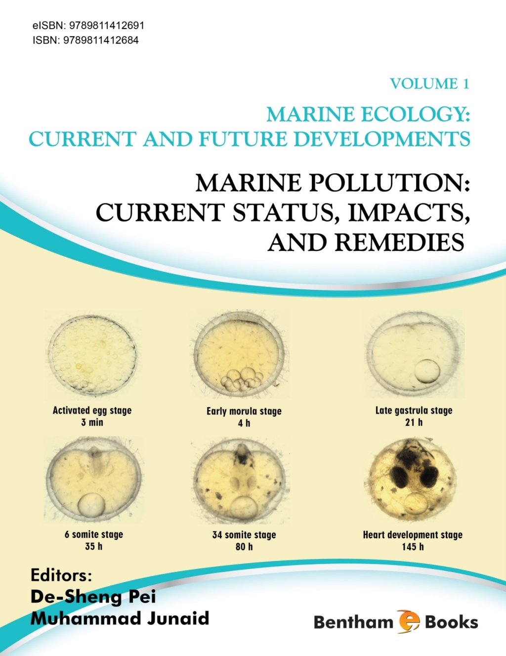 Marine Pollution: Current Status, Impacts, and Remedies: Volume 1 1st Edition