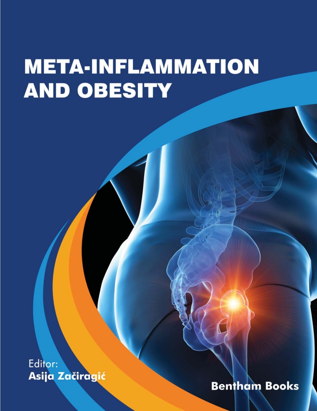 Meta-Inflammation and Obesity 1st Edition
