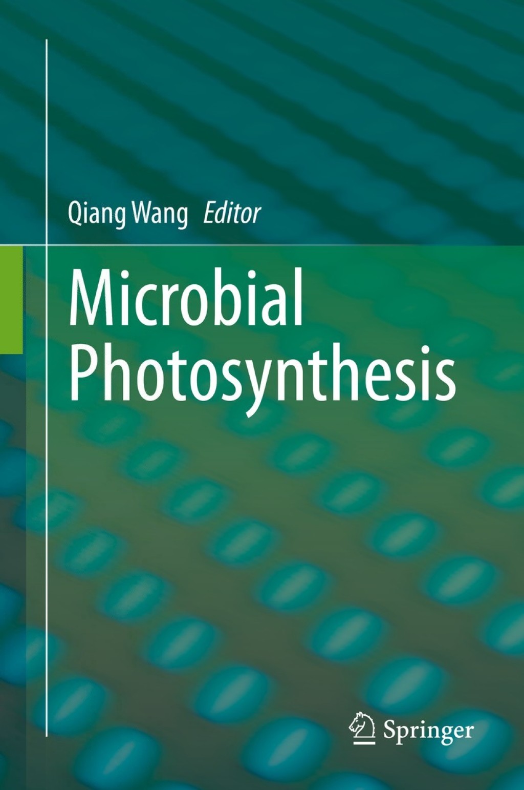 Microbial Photosynthesis 1st Edition