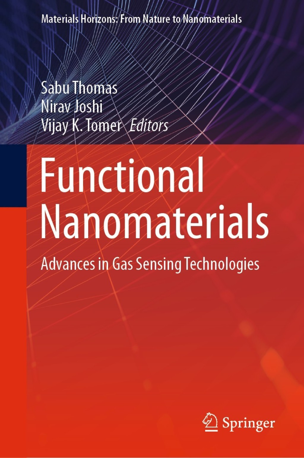 Functional Nanomaterials Advances in Gas Sensing Technologies 1st Edition